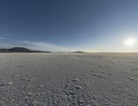 footprints make the dirt of a snowy landscape, and are in the foreground,