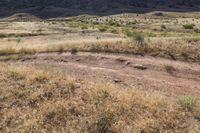 a person riding a bike on a dirt trail surrounded by tall grass and brown hills