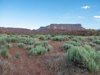 Fisher Towers at Dawn: Exploring the Utah Landscape