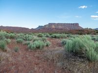 Fisher Towers at Dawn: Exploring the Utah Landscape