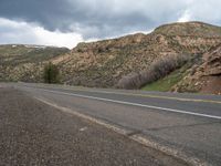 Gloomy Day in Utah: Forest and Mountain