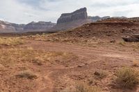 Utah Highland: Grass Surface and Bedrock Formation