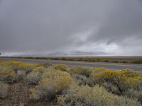 Utah Landscape: Asphalt Road with Clouds