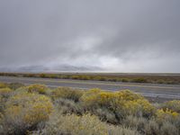 Utah Landscape: Asphalt Road with Clouds