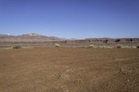 an open desert with mountains in the distance and a small patch of grass in the foreground