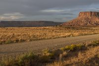 horse grazing in open plain next to tall mountain in distance with dark clouds overhead on a gloom, partly cloudy day