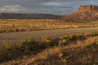 horse grazing in open plain next to tall mountain in distance with dark clouds overhead on a gloom, partly cloudy day