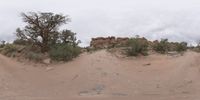 a fisheye lens captures a desert setting and street scene from the outside looking out