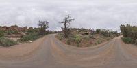 a fisheye lens captures a desert setting and street scene from the outside looking out