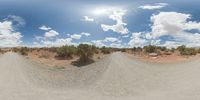 a fisheye lens captures a desert setting and street scene from the outside looking out