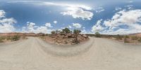 a fisheye lens captures a desert setting and street scene from the outside looking out