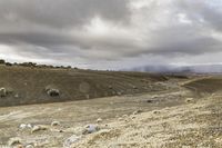 Utah Landscape: Mountains, Bedrock, and Grass