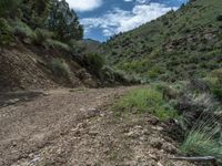 Utah Landscape: Mountains, Tracks, and Sand Streets