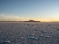 a dog is standing in a snowy area, near the sun setting over a rock