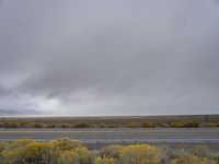 Utah Landscape: Nature at High Elevation