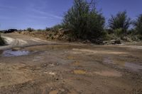 Utah Landscape: Nature's Red Rock