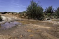 Utah Landscape: Nature's Red Rock