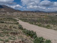 Utah Landscape: Off-Road Track Amidst Nature