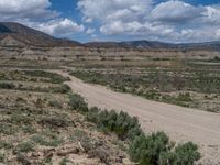 Utah Landscape: Off-Road Track Amidst Nature