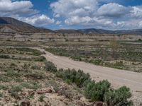 Utah Landscape: Off-Road Track Amidst Nature