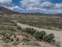 Utah Landscape: Off-Road Track Amidst Nature