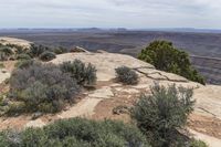 an image of the landscape from the rim of the mountain top at grand canyon national park