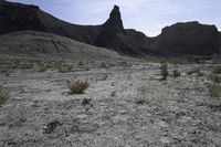 Utah Landscape: Red Rocks and Mountain Range