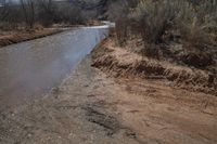 Utah Landscape: Red Rock and Nature