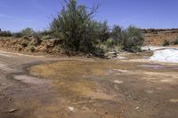 Utah Landscape: Red Rock and Vibrant Vegetation