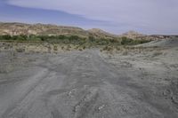 a dirt road with some trees on both sides of the dirt and hills, some bushes in the middle of the road, and there are dry grass on each