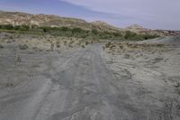 a dirt road with some trees on both sides of the dirt and hills, some bushes in the middle of the road, and there are dry grass on each