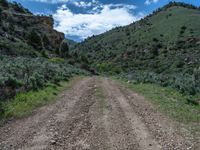 Utah Landscape: A Straight Road Through Mountains and Nature