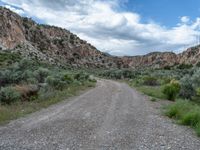 Utah Mountain Day: Scenic Road Through Nature