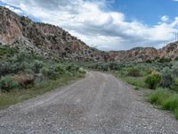 Utah Mountain Day: Scenic Road Through Nature