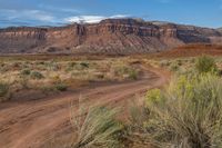 a dirt road on the side of a mountain with desert in the background and bushes on each side