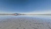 a view from the water of a sandy beach in arizona's death valley to mountains