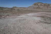 a vast rocky plain with some vegetation in the foreground and blue sky above it