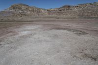 a vast rocky plain with some vegetation in the foreground and blue sky above it