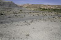 Utah Mountain Grass Plain: A Serene Day in Nature