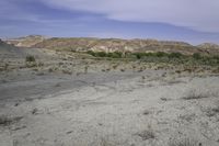 Utah Mountain Grass Plain: A Serene Day in Nature