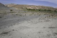 Utah Mountain Grass Plain: A Serene Day in Nature