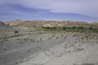 Utah Mountain Grass Plain: A Serene Day in Nature