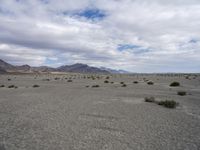 a vast open desert plain with many bushes and trees on the side of it and mountains on the other side