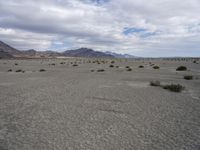 a vast open desert plain with many bushes and trees on the side of it and mountains on the other side