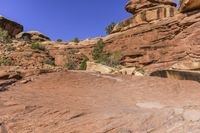 Utah's Mountain Landforms and Vegetation