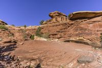Utah's Mountain Landforms and Vegetation