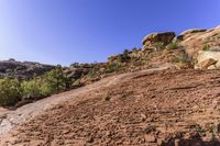 Utah's Mountain Landforms and Vegetation