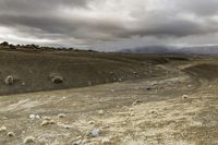 a cloudy day shows rocks and sheep grazing on the plain under an overcast sky