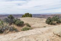 Utah Mountain Landscape: Red Rock and Stunning Views