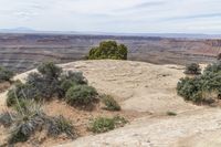 Utah Mountain Landscape: Red Rock and Stunning Views